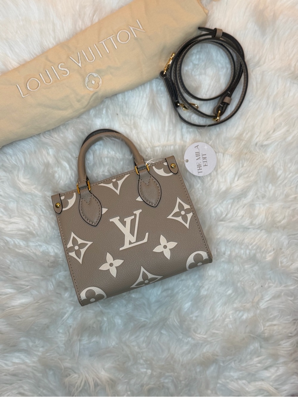 LOUIS VUITTON GIANT FELICIE ON THE GO BB BAG